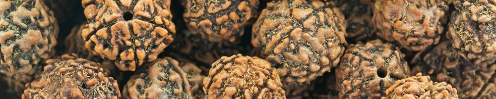 Rudraksha Taşı Faydaları