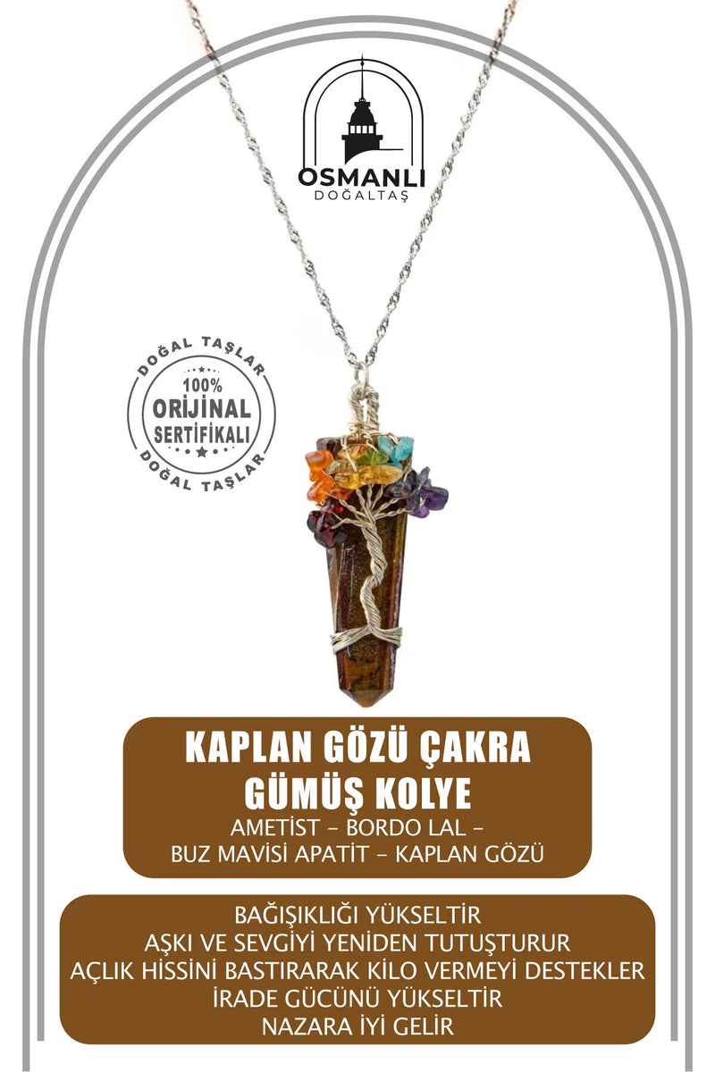 Kaplan Gözü Çakra Gümüş Kolye Kaplan Gözü