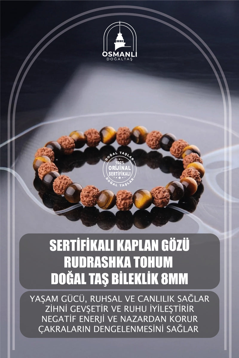Sertifikalı Kaplan Gözu - Rudrashka Tohum Doğal Taş Bileklik 8mm B793