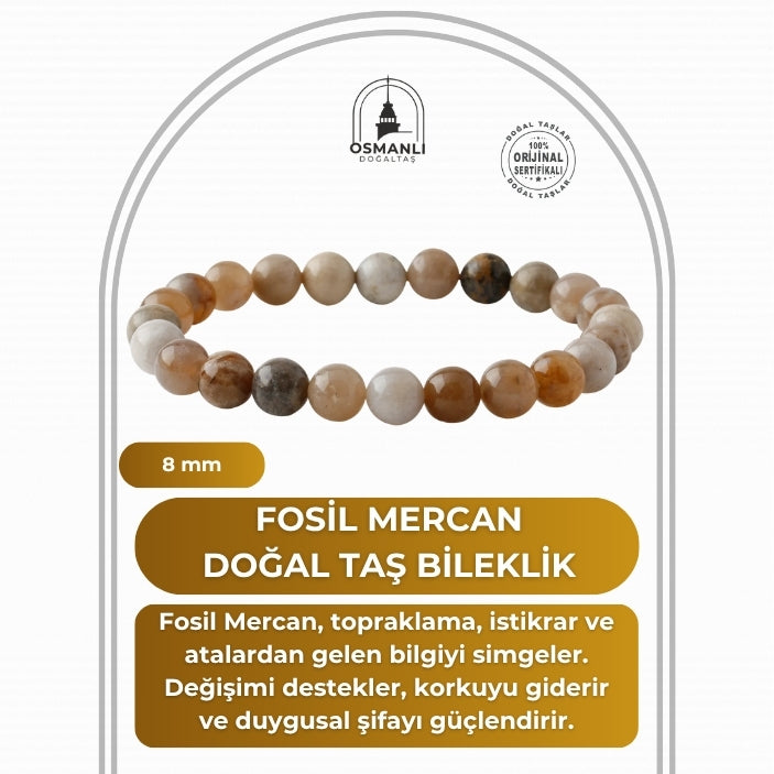 Fosil Mercan 8mm Doğal Taş Bileklik